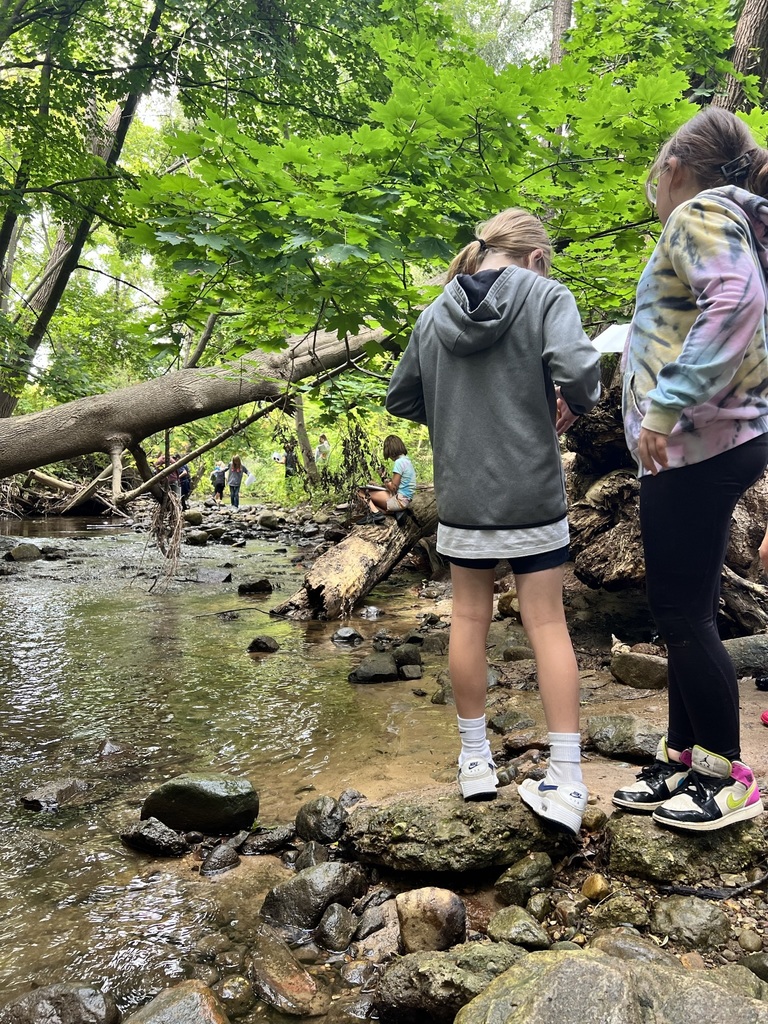Students making observations in a creek